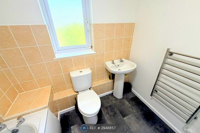 Pointer Close, London photo 3