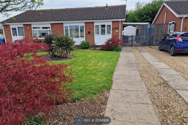 Thumbnail Bungalow to rent in Marshall Road, Cropwell Bishop, Nottingham