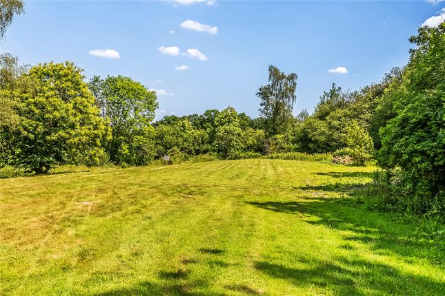 Land for sale in Chiddingfold, Godalming, Surrey