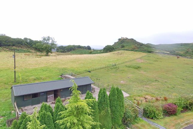 Tyddyn Mawr Uchaf, Dolbenmaen, Garndolbenmaen photo 2