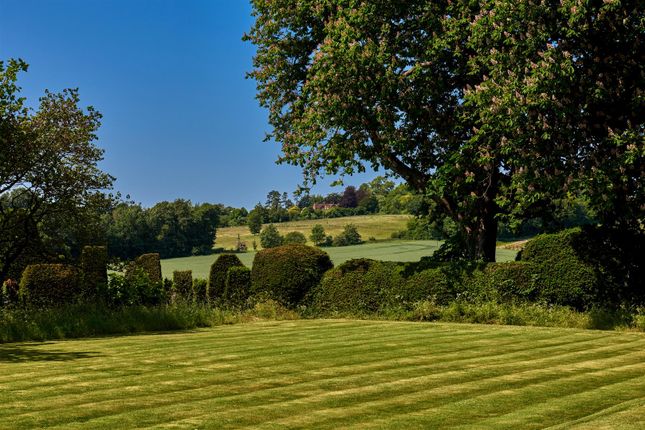 View From Garden