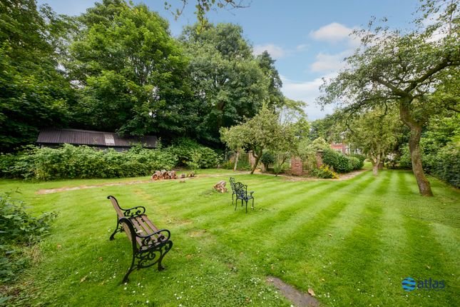 Back Garden