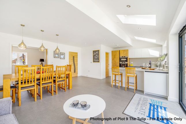 Plot 40 The Cherry, Brunswick Fields, Spalding photo 4
