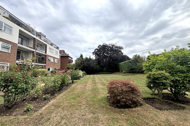Communal Garden