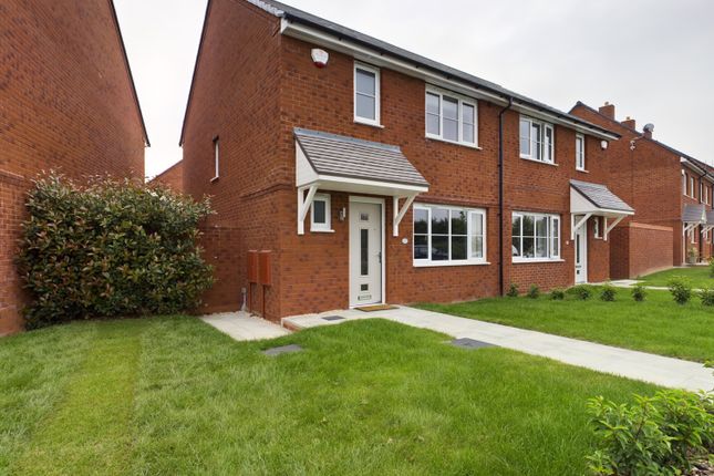 Cam00560P1-Pr0009-Still02