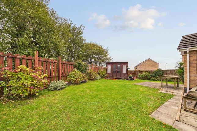 175 Skomer Drive, Milford Haven photo 4