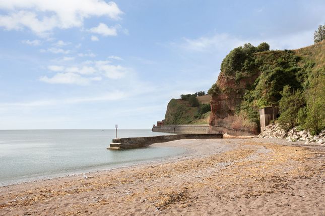 Plot 29 Shell Cove, Old Teignmouth Road, Dawlish, EX7 0RT, Dawlish photo 4