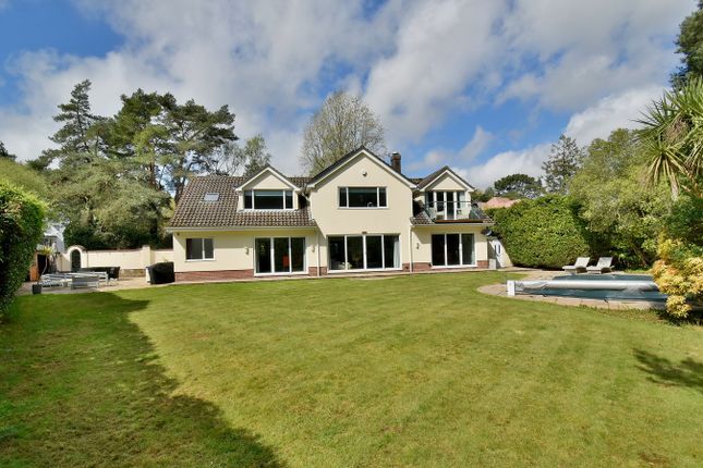 81, Golf Links Road, Ferndown photo 3