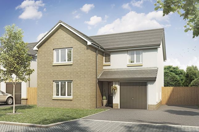 Thumbnail Detached house for sale in "The Maxwell - Plot 129" at Meikle Earnock Road, Hamilton