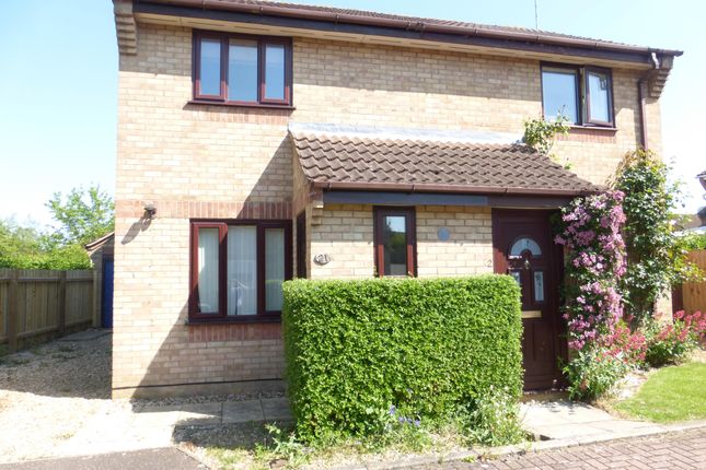 Thumbnail Property to rent in Wycliffe Grove, Werrington, Peterborough