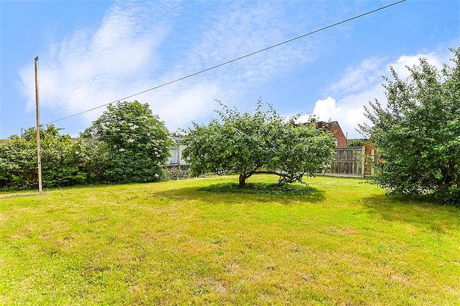 Thumbnail Semi-detached bungalow for sale in Pearsons, Stanford-Le-Hope, Essex