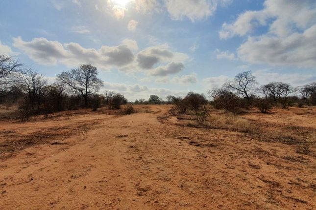 Farm for sale in 1 Selati Ranch, 1 Harmony, Harmony Block, Hoedspruit, Limpopo Province, South Africa