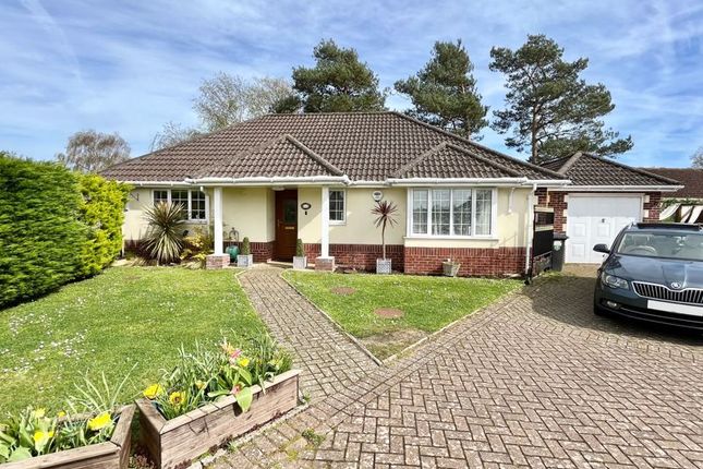 Thumbnail Bungalow for sale in St. Martins Road, Upton