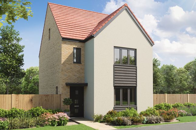 Thumbnail Detached house for sale in "The Greenwood" at Bluebell Way, Whiteley, Fareham