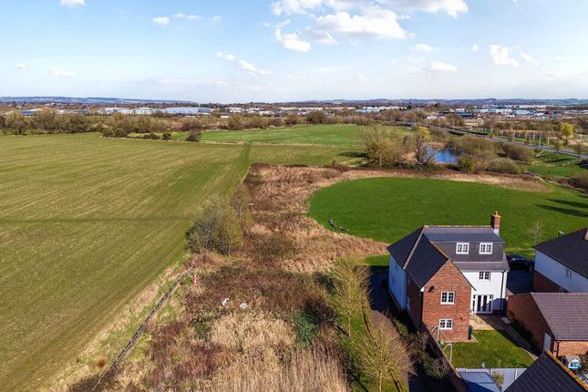 8 Cormorant Place, Ashford photo 4