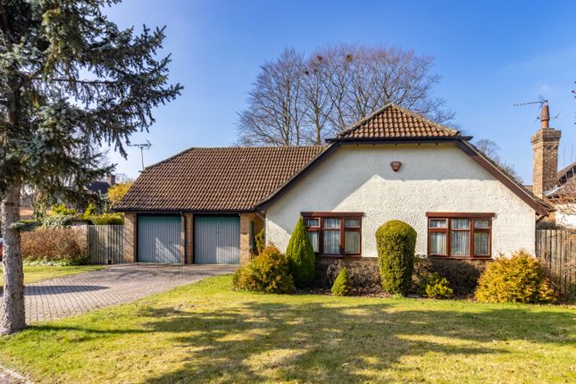 Thumbnail Bungalow to rent in Fair View, Alresford, Hampshire