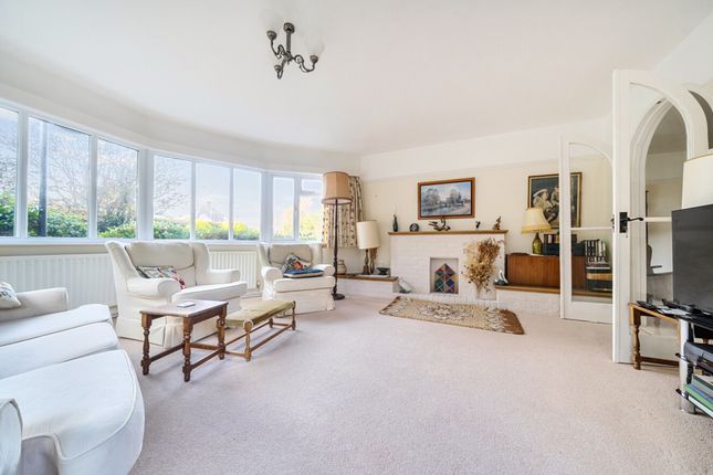 11 Bonnar Road, Chichester photo 3