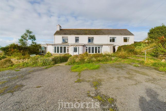 Penrallt Ceibwr, Cardigan photo 3