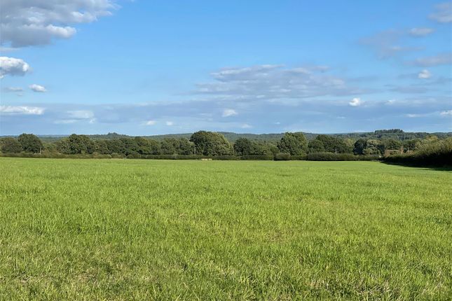 Land for sale in Snailing Lane, Greatham, Liss