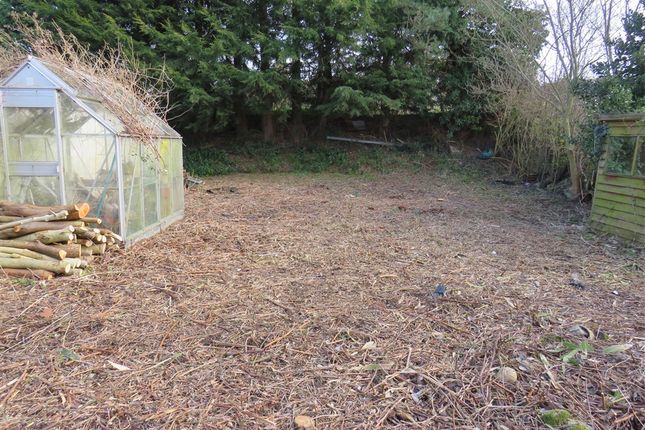 Sonwin, Ely Road, DOWNHAM MARKET photo 5