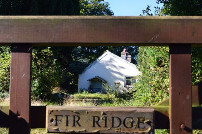 Thumbnail Detached bungalow for sale in Llanfairtalhaiarn, Abergele