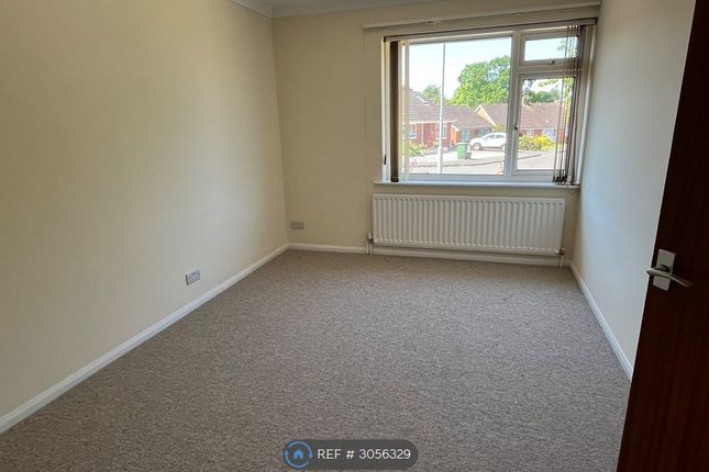 Chestnut Close, Wellington photo 4