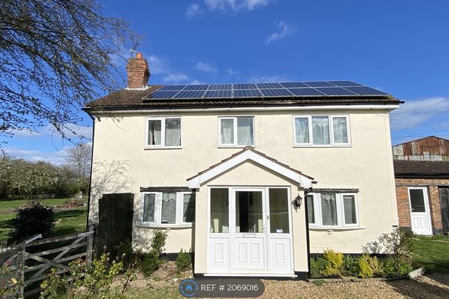 Thumbnail Detached house to rent in Walpole Highway, Walpole Highway, Wisbech