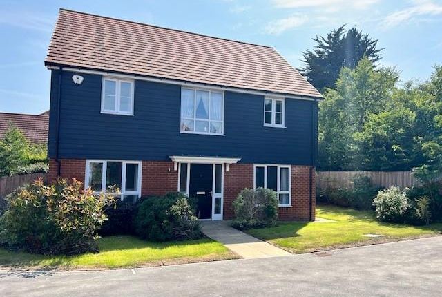 Thumbnail Property to rent in Millstone Drive, Hailsham