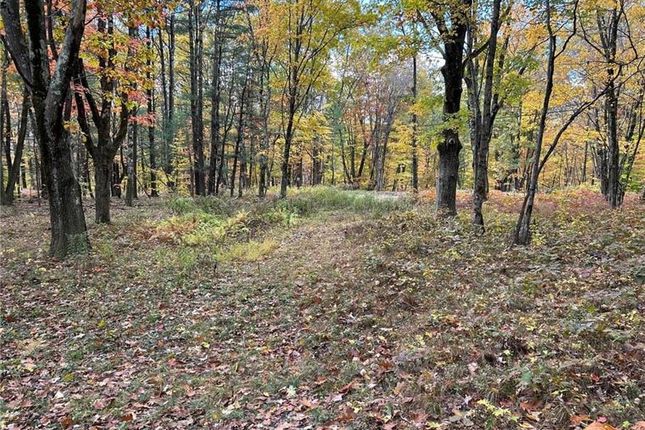 Land for sale in 1 W Hill Road, Austerlitz, New York, United States Of America