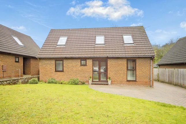Thumbnail Bungalow for sale in Downside Close, Blandford Forum