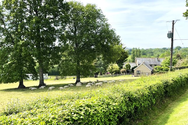 ex6, Cheriton Bishop photo 4