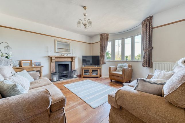 Springfields Garden House Lane, Diss photo 3