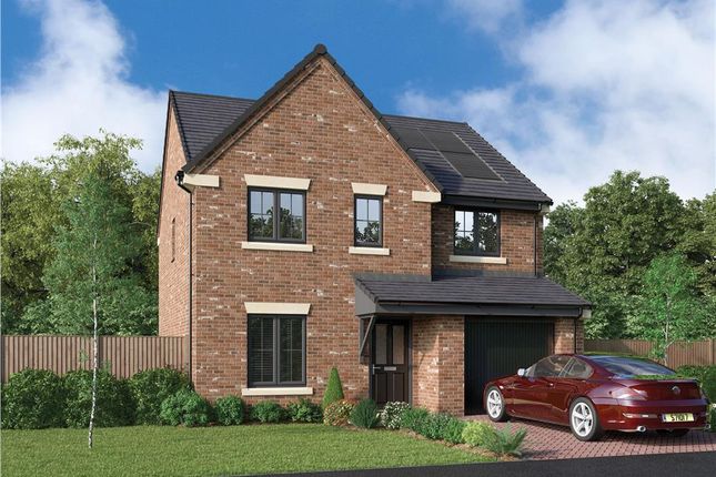 Thumbnail Detached house for sale in "The Skywood" at Armstrong Street, Callerton, Newcastle Upon Tyne