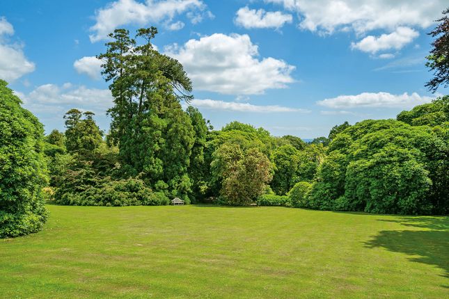 Penwarne Manor, Falmouth photo 4