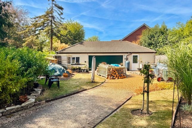 Plumtree Cottage, Oak Road, Southampton photo 4