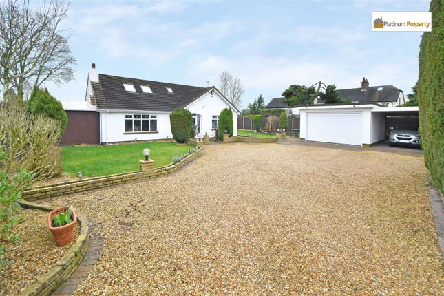 Thumbnail Detached bungalow for sale in South View, Meir Heath
