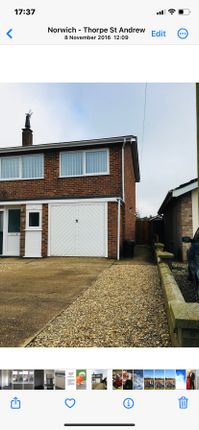 Thumbnail Semi-detached house to rent in Pine Road, Norwich