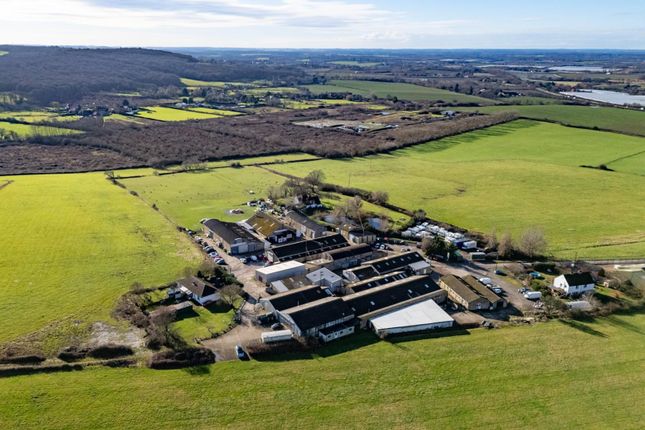 Lamberhurst Farm, Faversham photo 3
