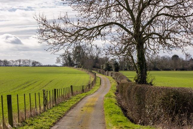 Detached house for sale in The Avenue, Brandsby, York