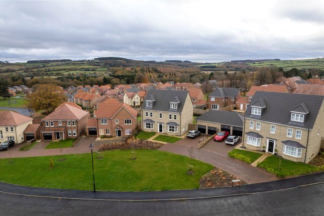 The Langley,, Cottier Grange, Newcastle photo 3