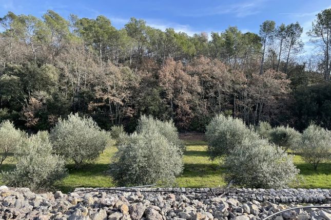 Thumbnail Commercial property for sale in Puget Ville, Provence Coast (Cassis To Cavalaire), Provence - Var