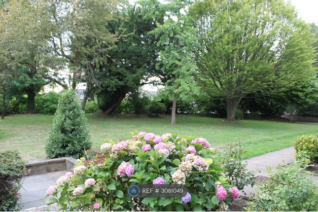 Eltham London photo 2