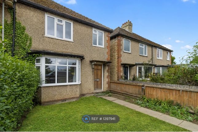 Thumbnail Semi-detached house to rent in Arbury Road, Cambridge