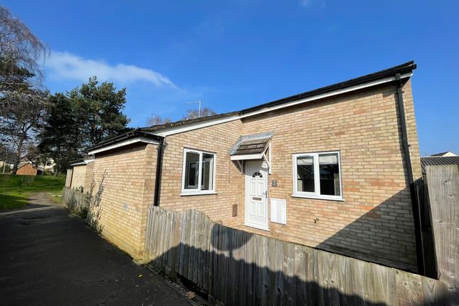 Detached bungalow to rent in Coopers Road, Ipswich