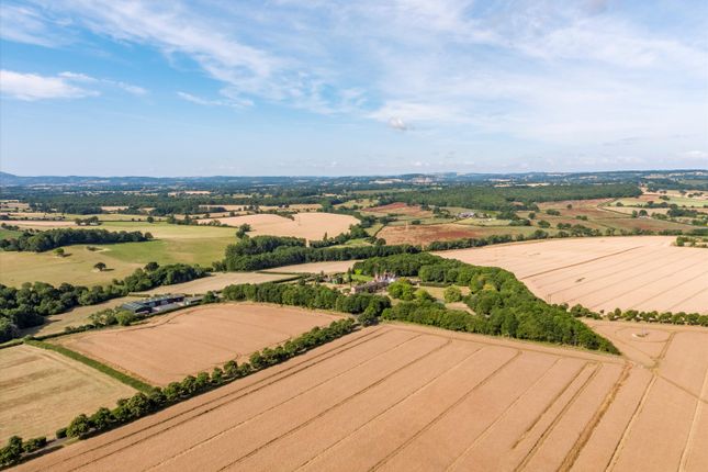 Farm for sale in Holt, Worcester, Worcestershire