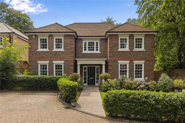 Chalybeate,, Burleigh Lane, Berkshire photo 2