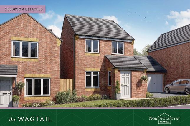 Thumbnail Detached house for sale in Gough Road, Catterick Garrison