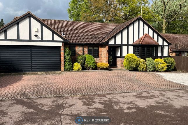 Bungalow to rent in Brentwood, Brentwood