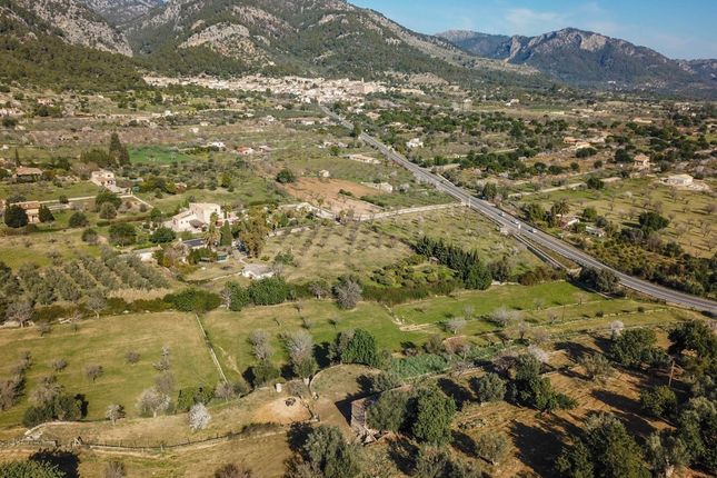 Land for sale in Spain, Mallorca, Selva