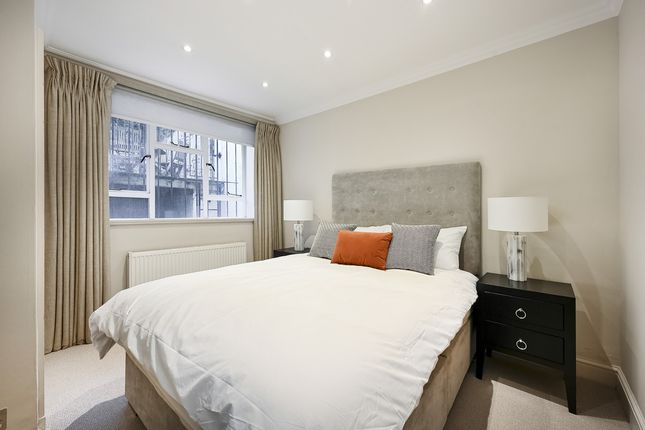 Ebury Street, London photo 4